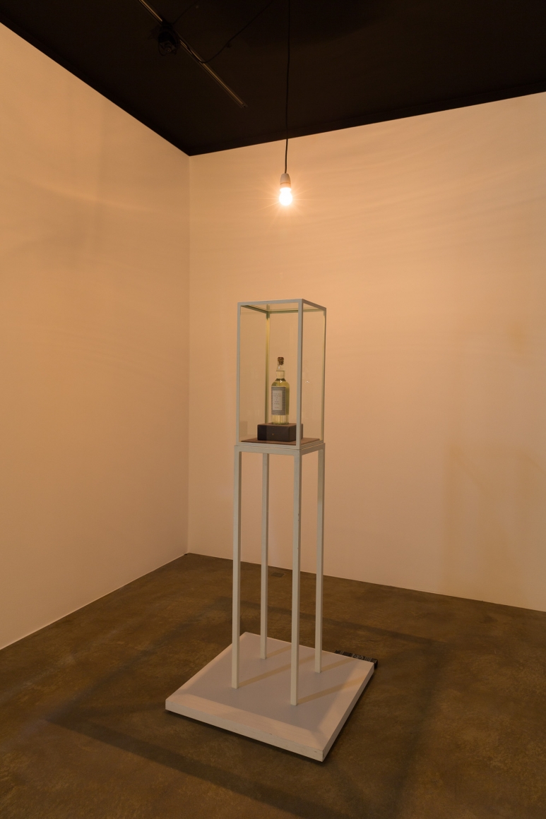Rodney Graham, Installation view: Sammlung Goetz, München, 2016
