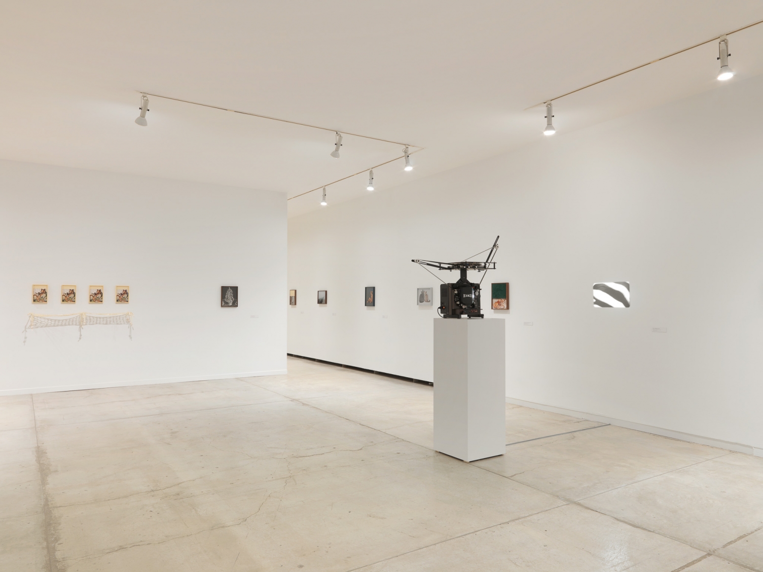 Installation view of Elad Lassry, exhibition at the Vancouver Art Gallery, June 24 to October 1, 2017