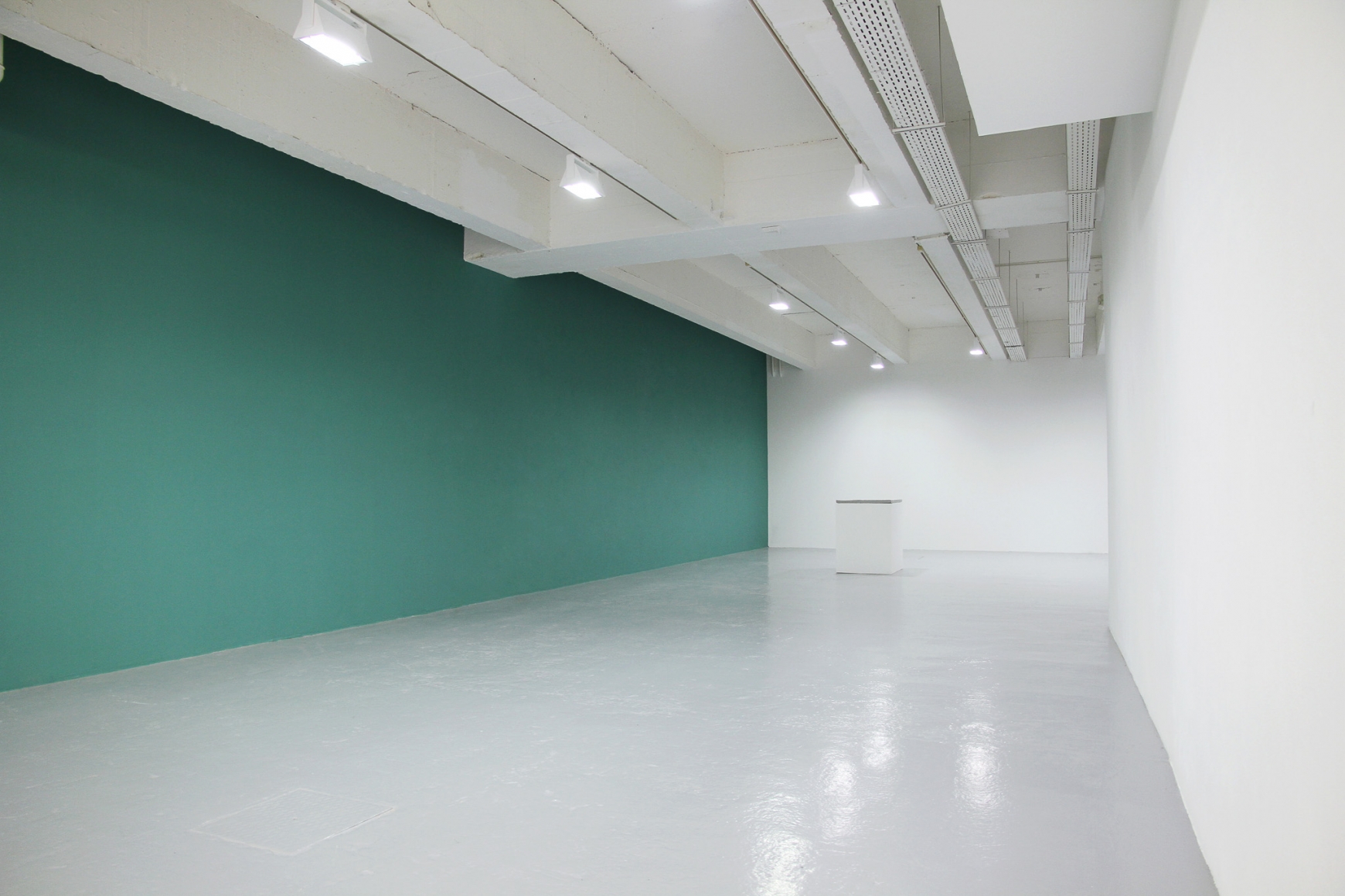 Installation view: Valentin Carron | Gioia e Polvere, in partnership with le Musée des Beaux-arts de Rennes, Galerie Art & Essai, Université Rennes 2, 2018