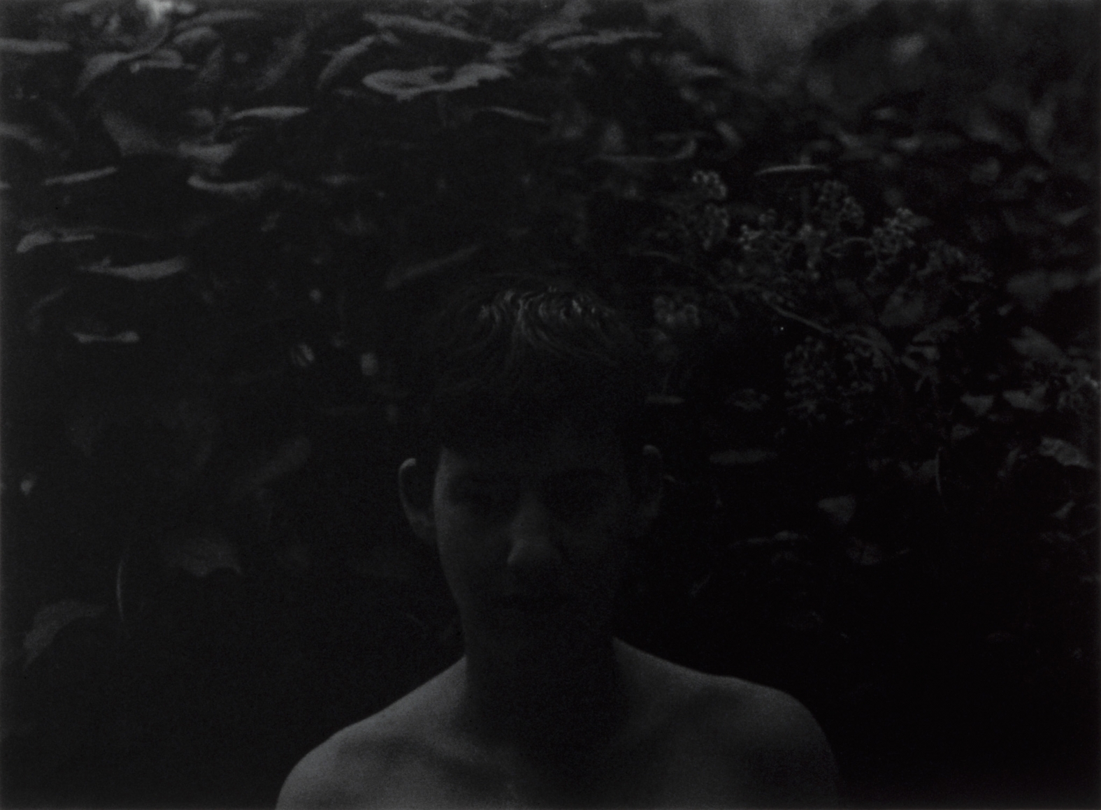 Collier Schorr, The Last to Know What It's Like to be a Traitor, 1994