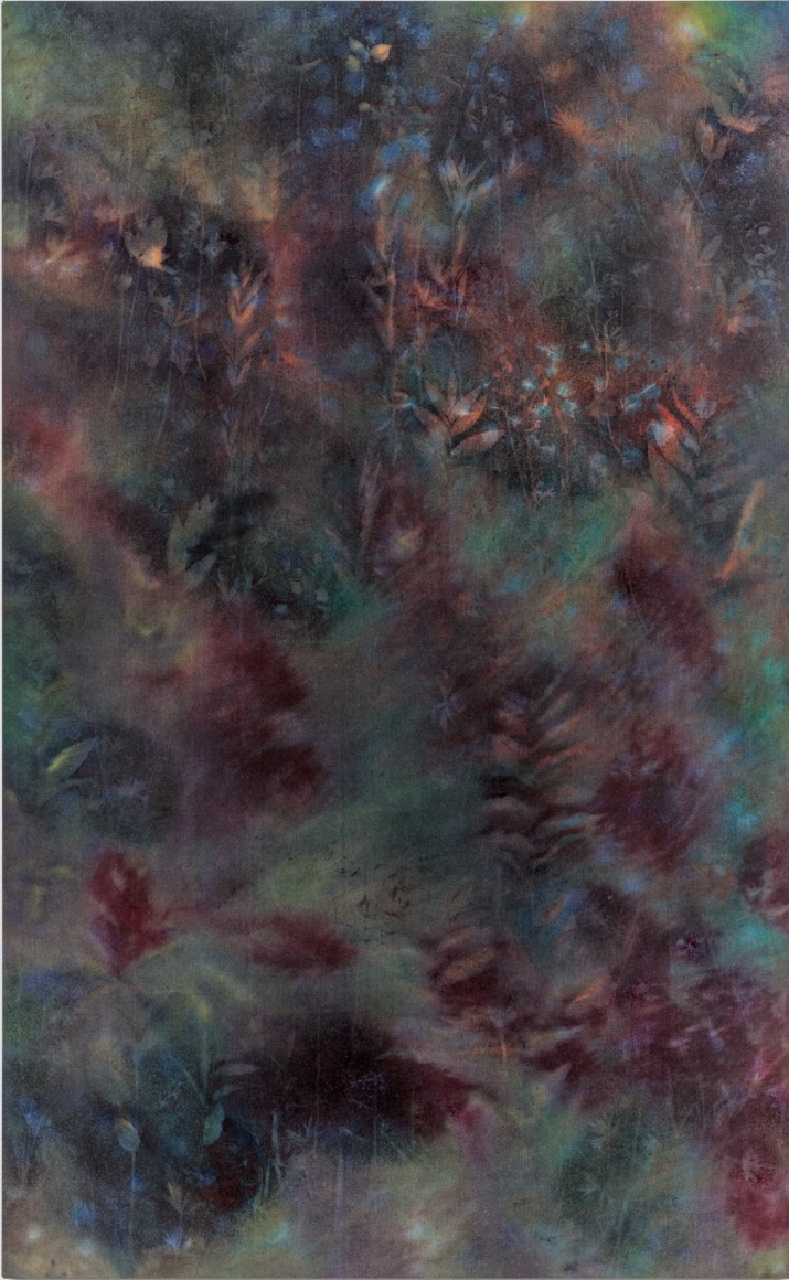Sam Falls, Untitled (Ozark National Forest, 1), 2018