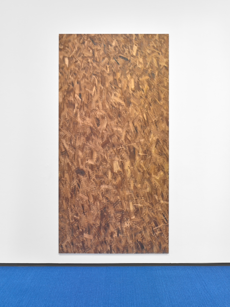 Jacob Kassay, Installation view: Footage, Hallwalls Contemporary Art Center, Buffalo, 2019