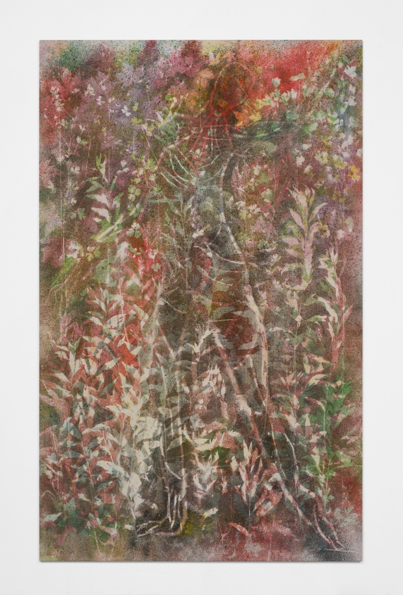 Sam Falls, Untitled (Dancer 4)