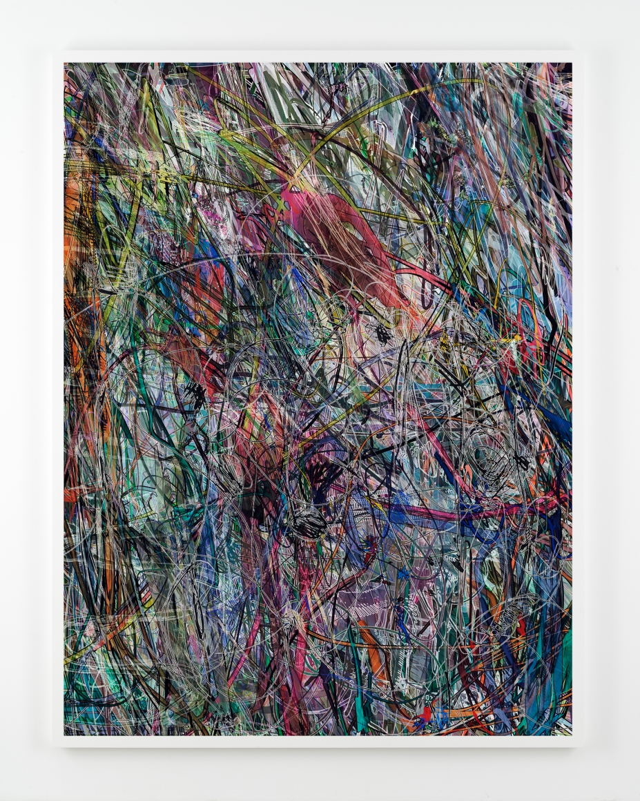Florian Maier-Aichen, Jon Snow (Lasso Painting#2), 2017