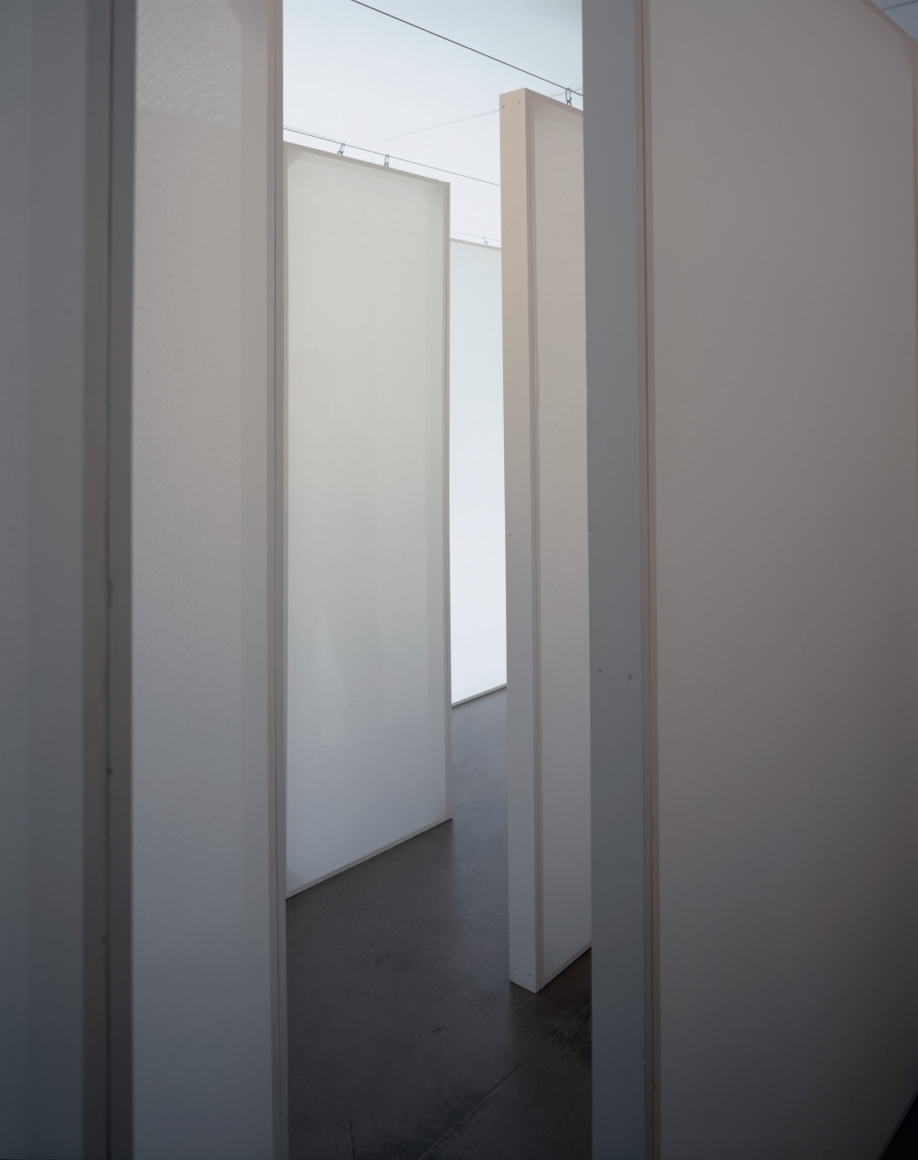 Kristin Oppenheim, The Eyes I Remember, 1999-2000