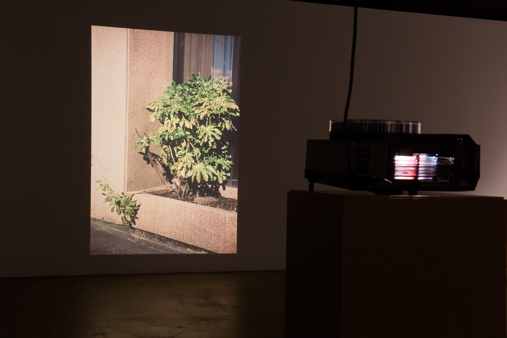 Rodney Graham, Installation view: Sammlung Goetz, München, 2016