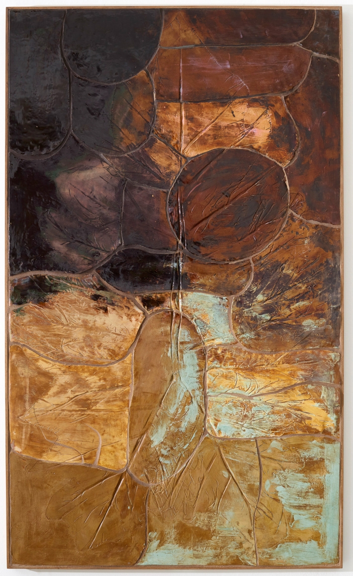 Sam Falls, Untitled (Los Feliz Garden, Elephant Ear Colocasia, 2), 2017
