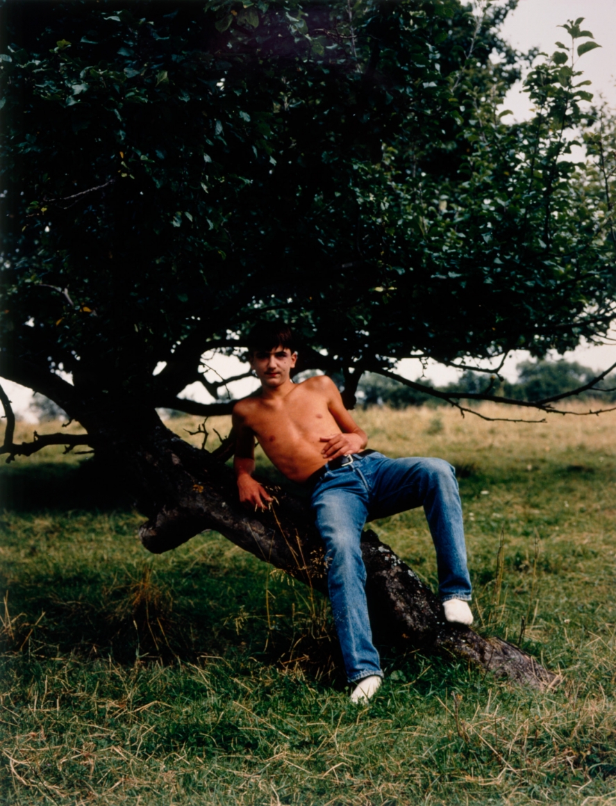 Collier Schorr, A Possible Mutation, 1994