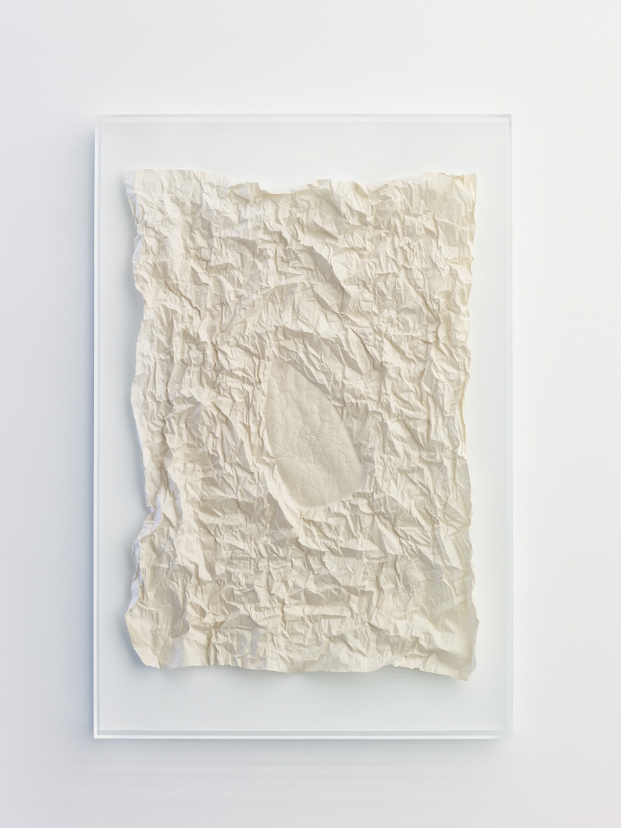 Ceal Floyer, Press, 2014