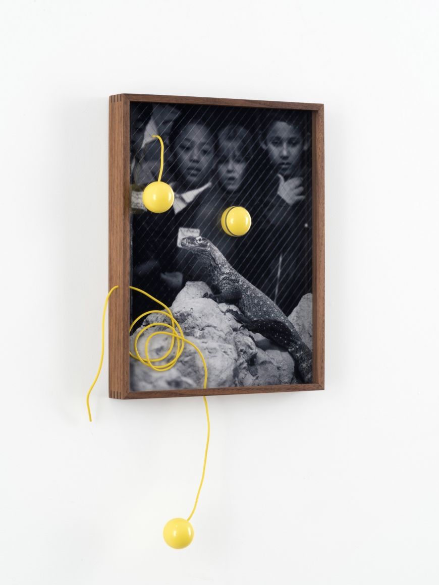 Elad Lassry, Untitled (Children, Lizard), 2016