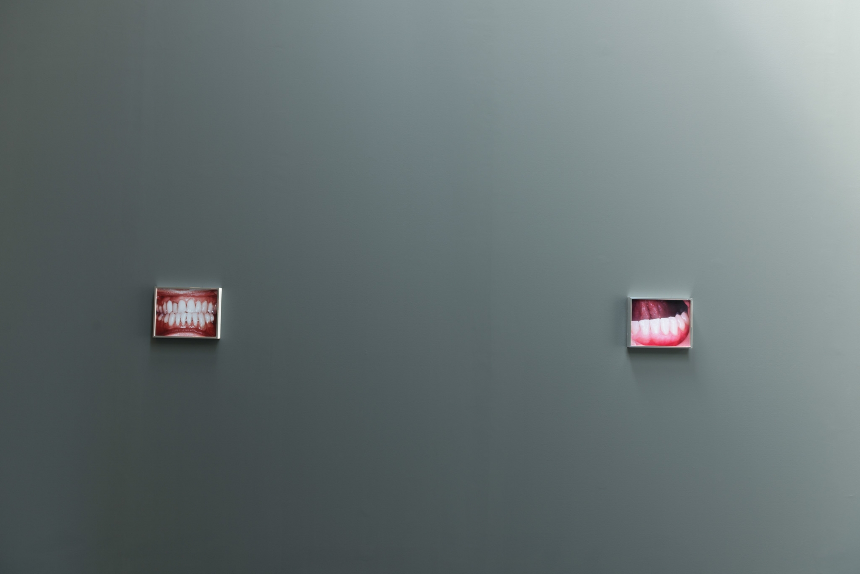 Elad Lassry: Untitled