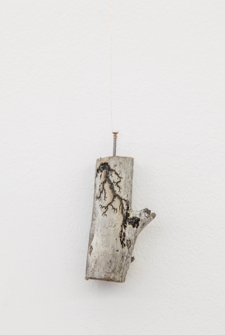 Nina Canell, Halfway Between Opposite Ends