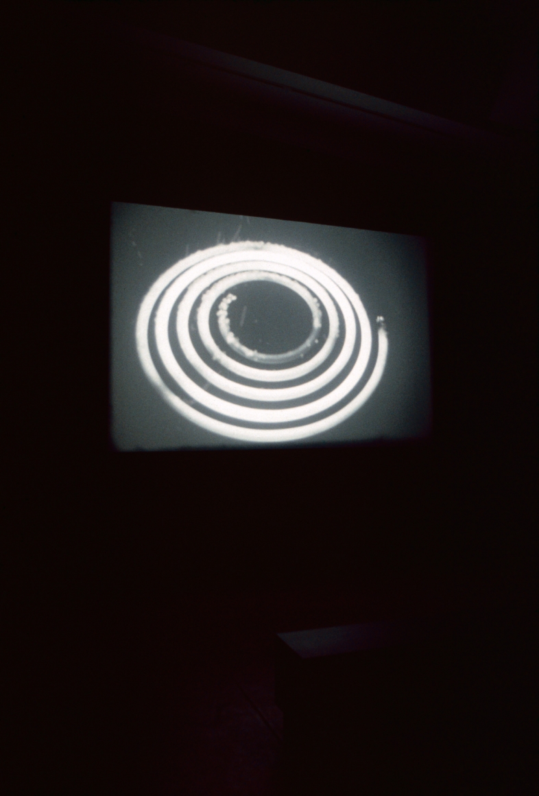 Rodney Graham, Coruscating Cinnamon Granules, 1996, Installation view: 303 Gallery, 2001