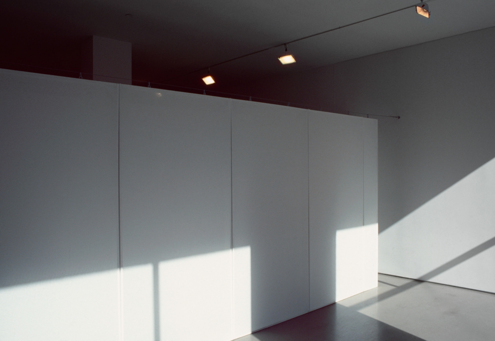 Kristin Oppenheim, The Eyes I Remember, 1999-2000