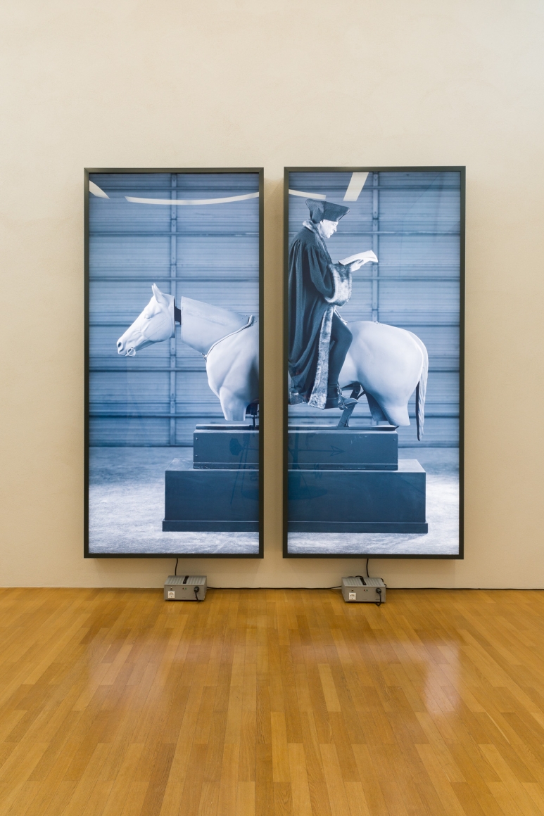 Rodney Graham, Installation view: Sammlung Goetz, München, 2016