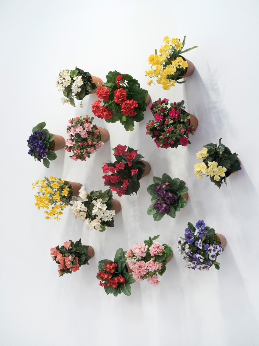 Hans-Peter Feldmann, Flower Pot