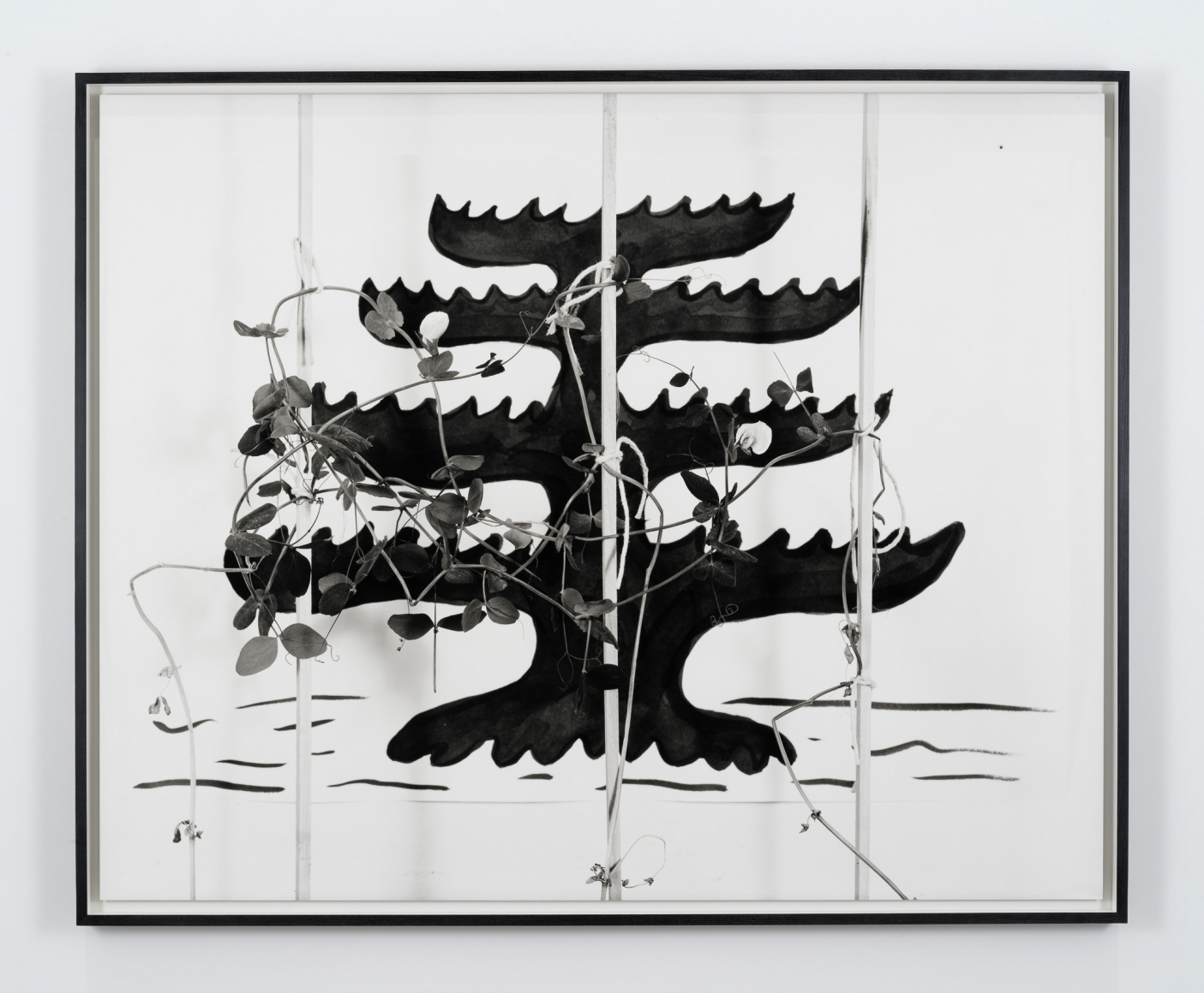 Marina Pinsky, Pine Tree Flag 2, 2017