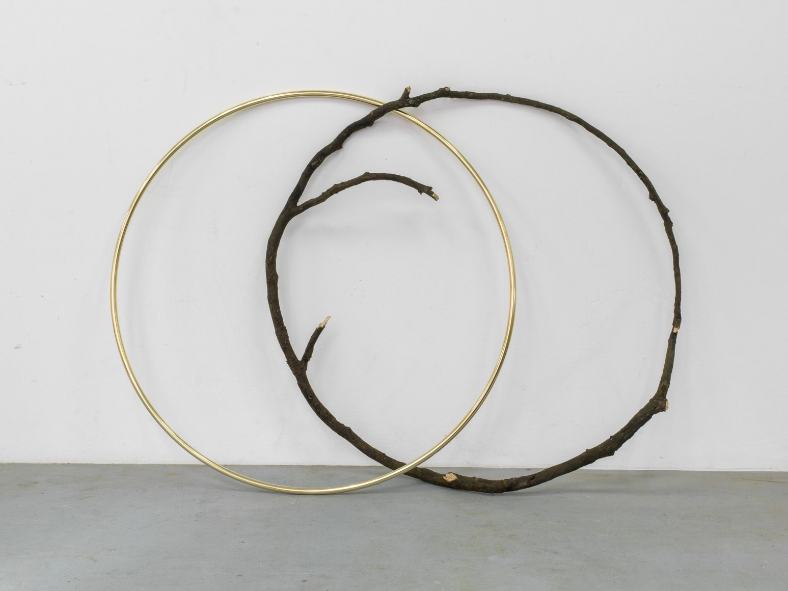 Alicja Kwade, Adoption of specific properties, 2016