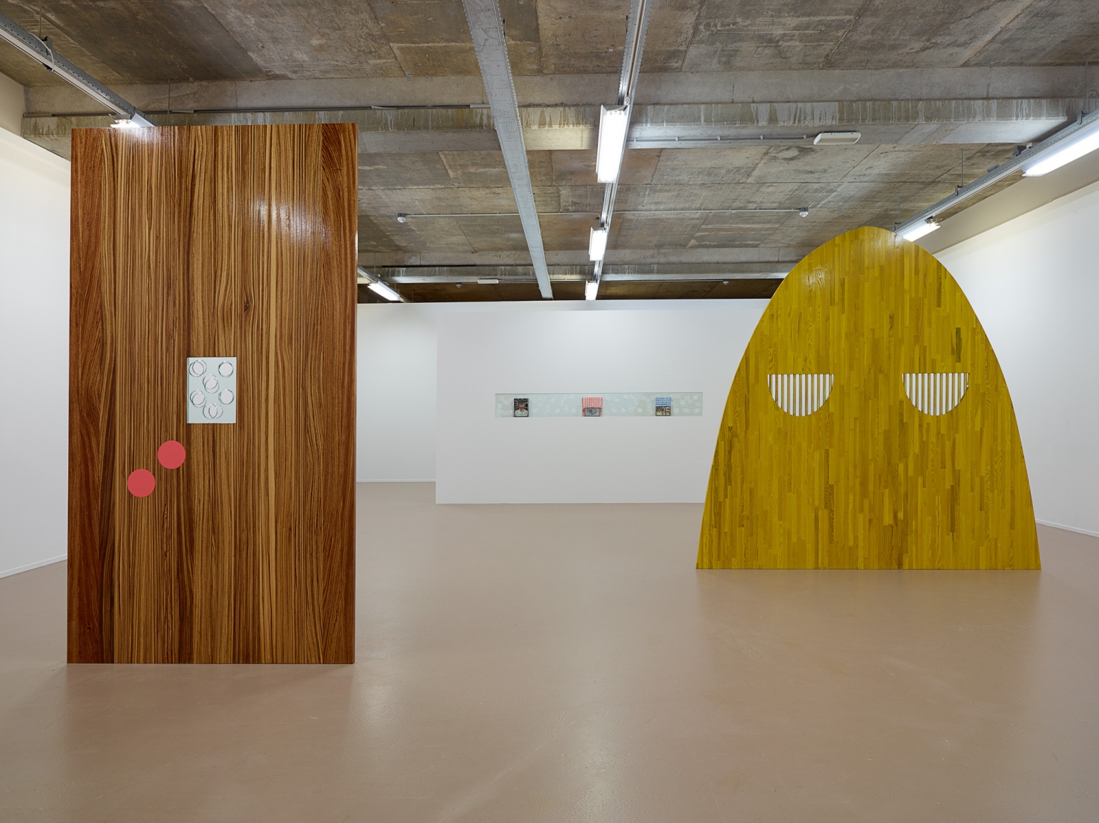 Elad Lassry, Installation view: Sensory Spaces 3, Museum Boijmans Van Beuningen, Rotterdam, 2014