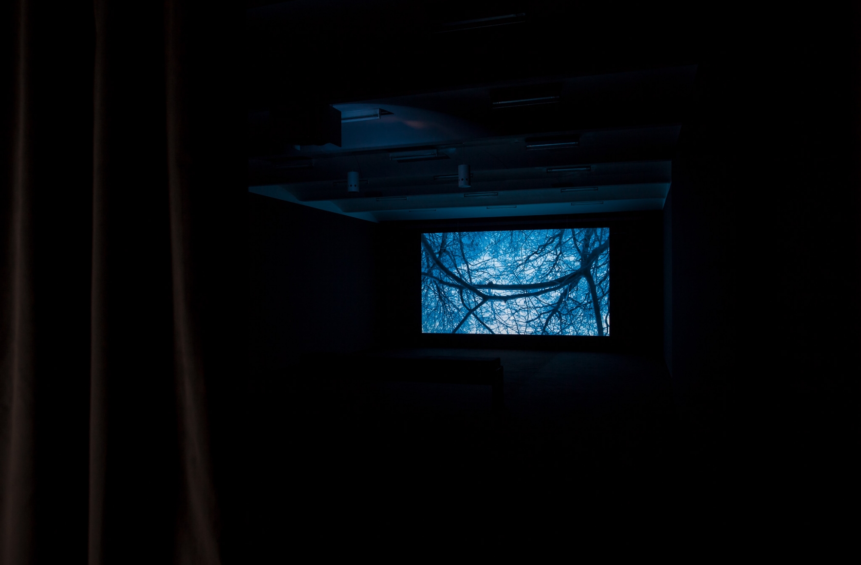 Kristin Oppenheim Ultramarine, 2015