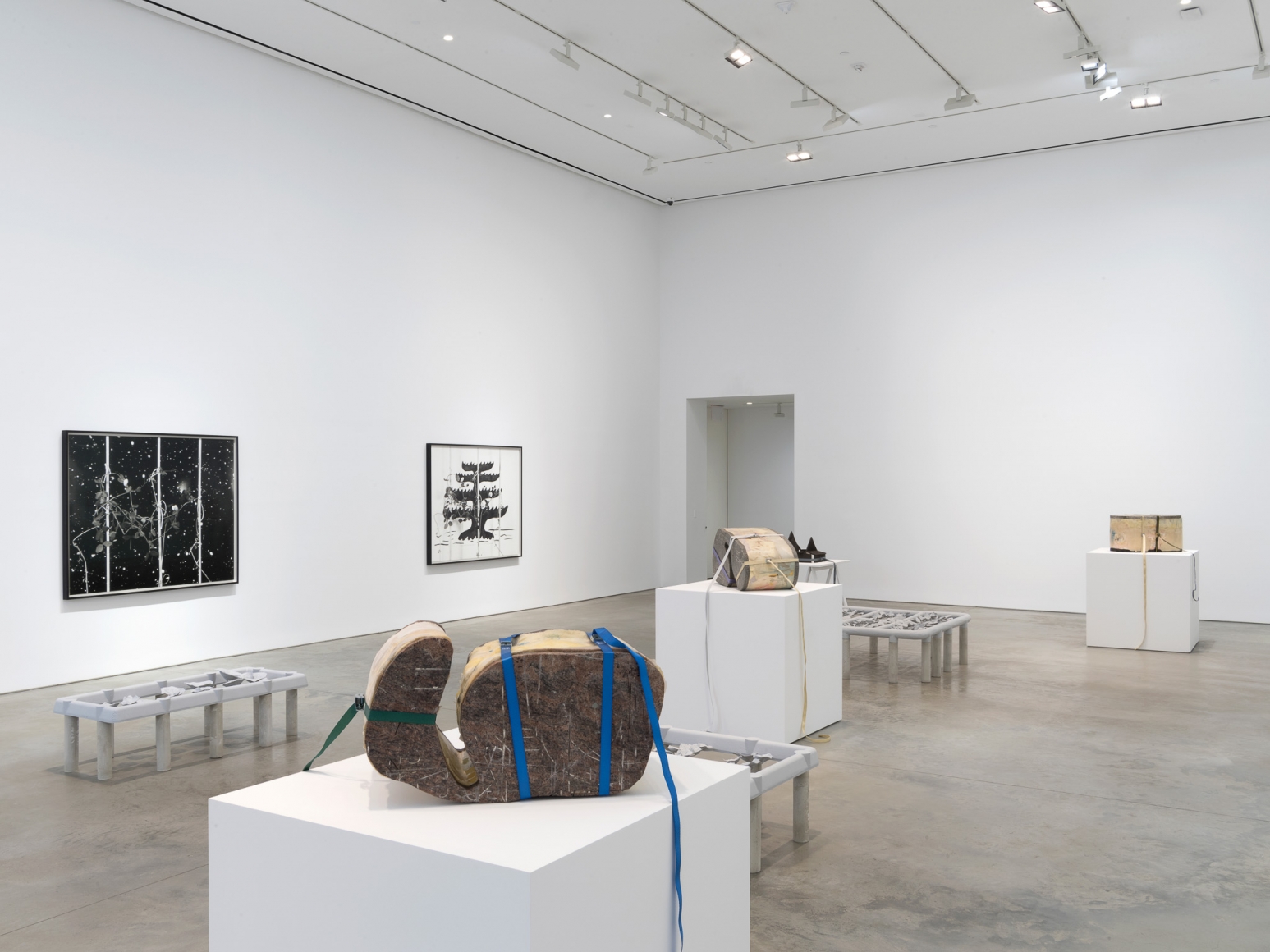 Installation view: Marina Pinsky, 303 Gallery, New York, 2018