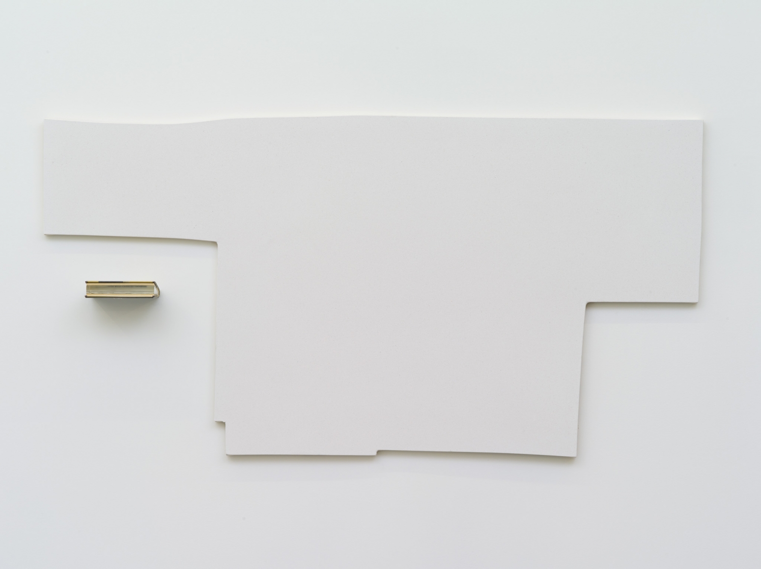 Jacob Kassay, Potential Mate, 2013