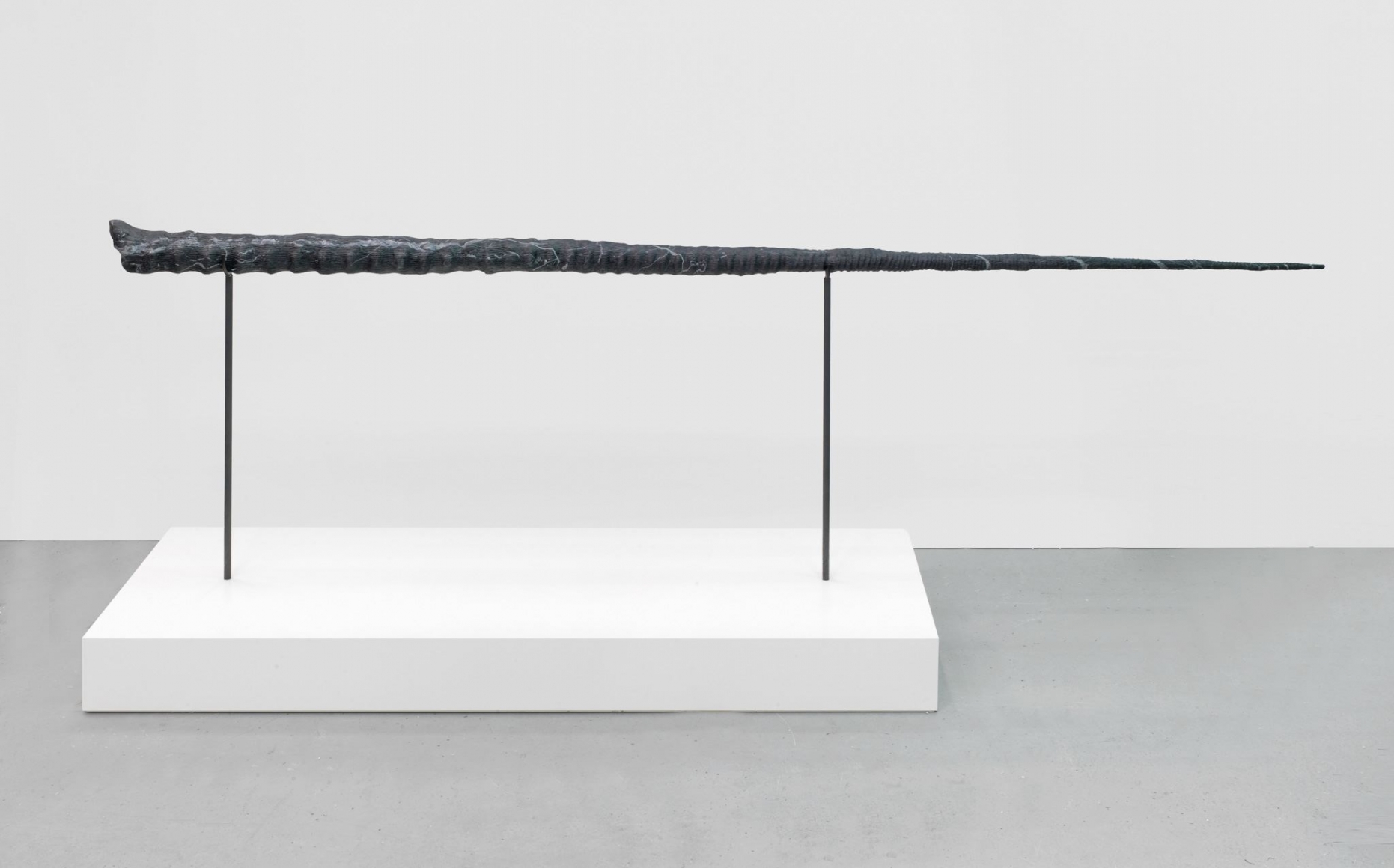 Alicja Kwade, Entwicklung 2048 (snail speed), 2016