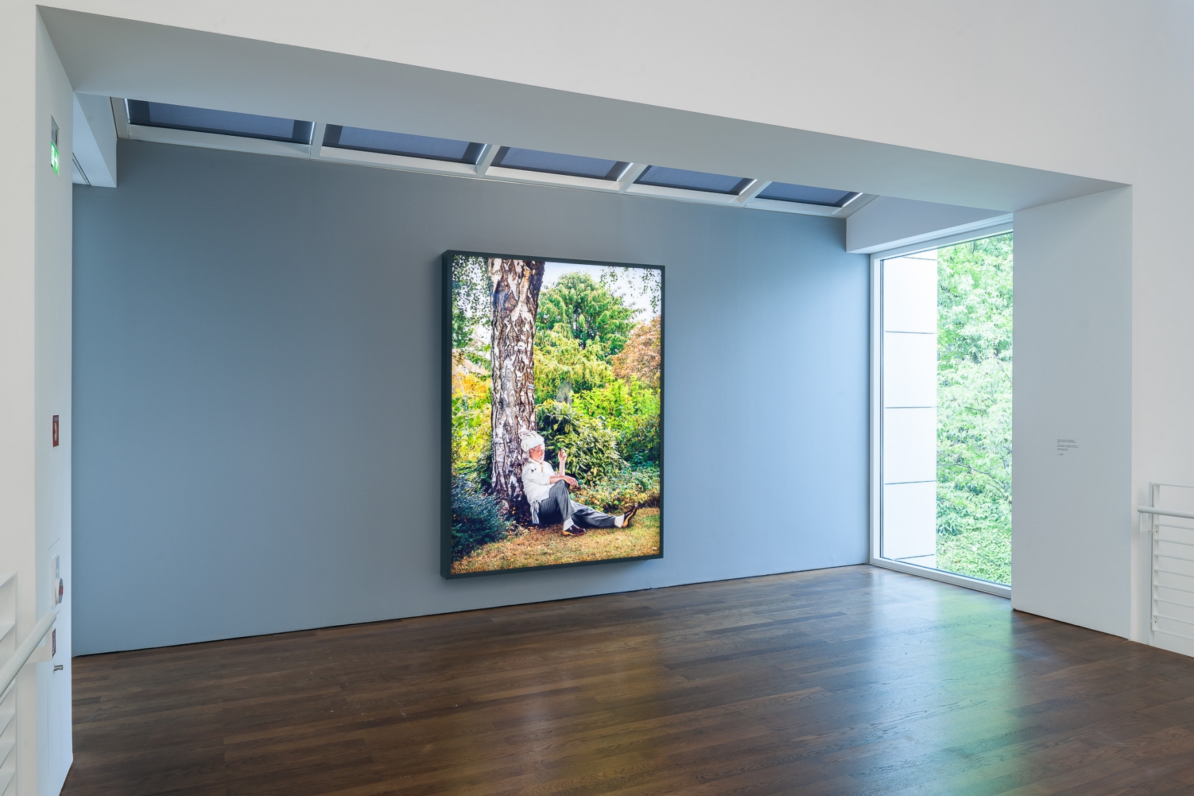 Installation view: Rodney Graham, Lightboxes, Museum Frieder Burda, Baden-Baden, 2017
