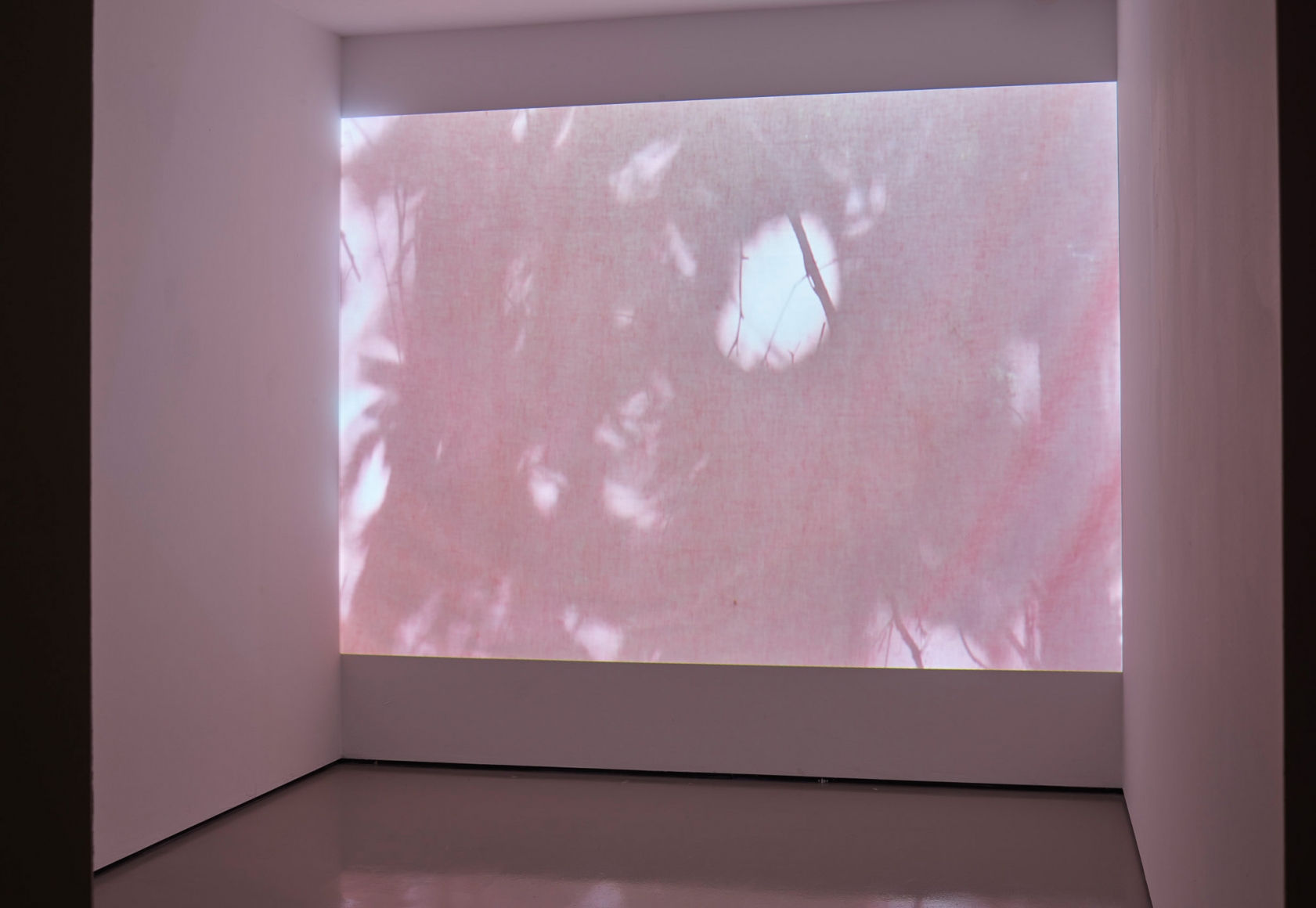 Sam Falls, Exhibition view: Nature Is The New Minimalism, MART, Galleria Civica, Trento, Italy, 2018.