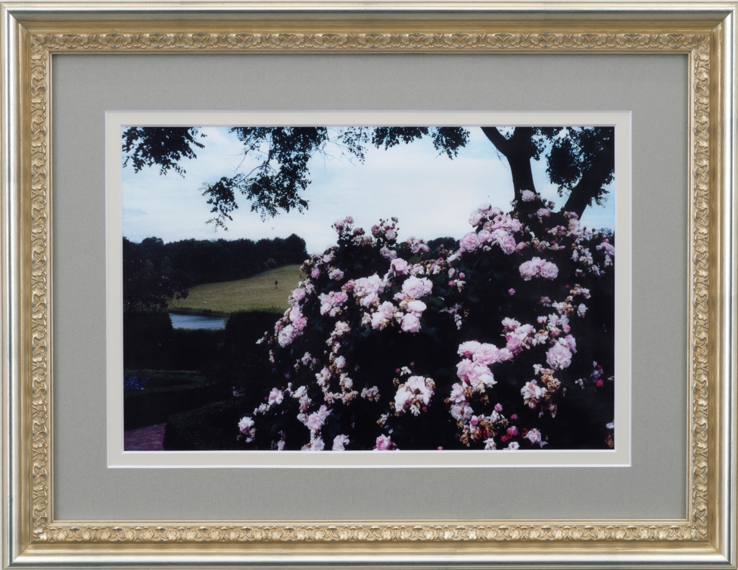Karen Kilimnik, Summer