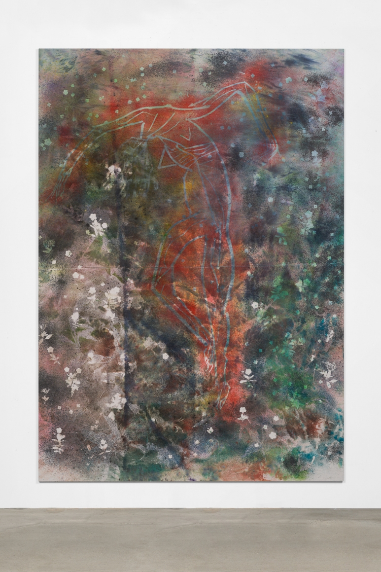 Sam Falls, Untitled (Dancer 5)