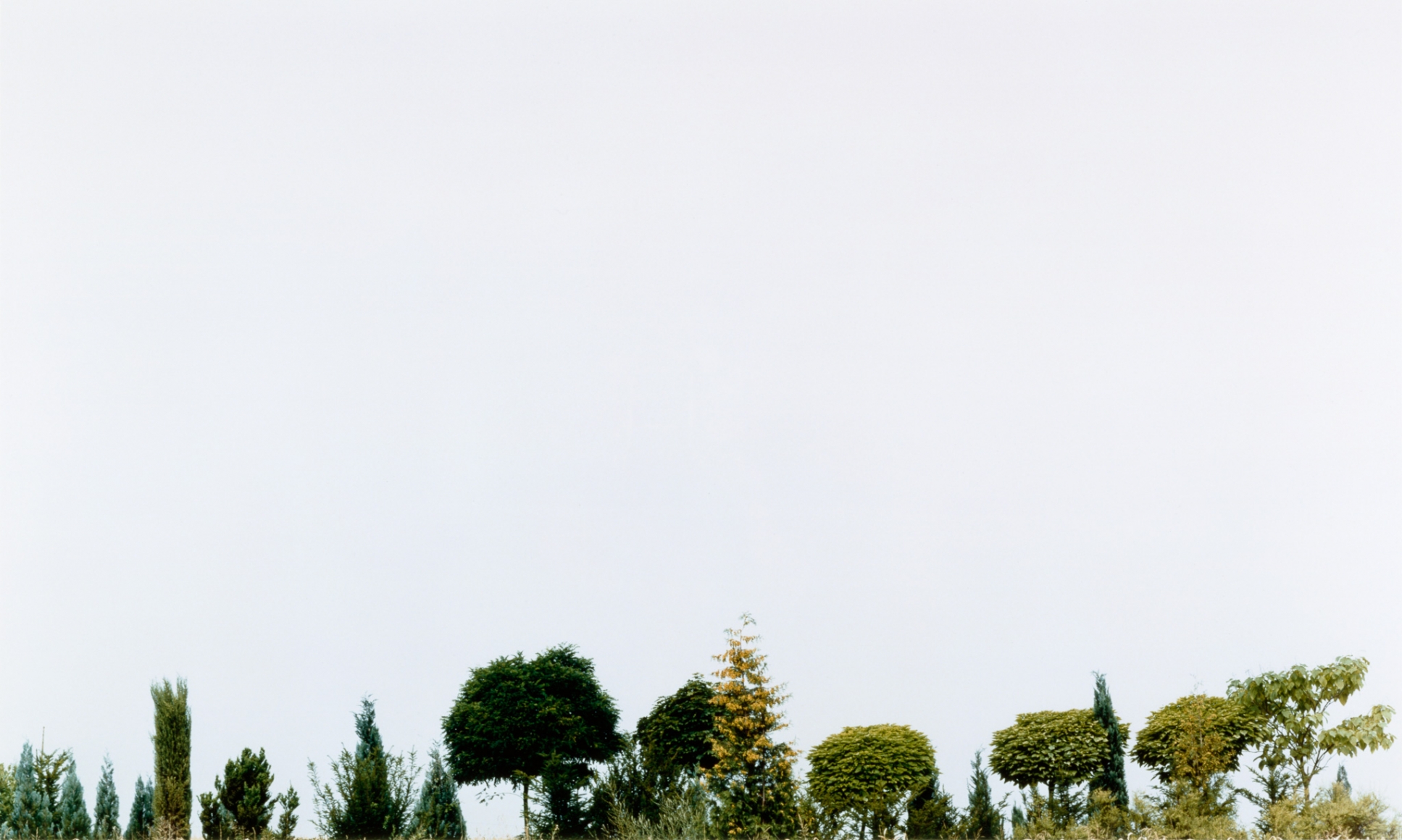 Collier Schorr, Field