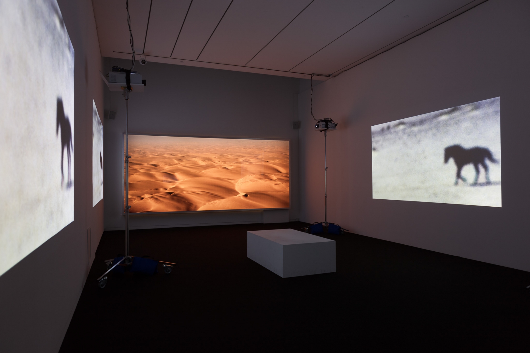 Doug Aitken: Electric Earth, May 28 – August 20, 2017, at the Modern Art Museum of Fort Worth.