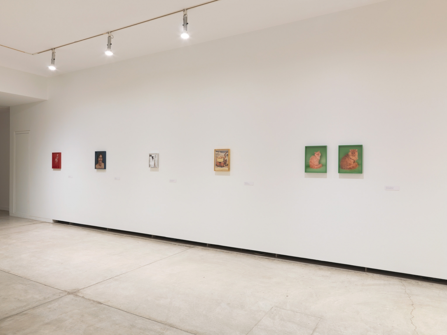 Installation view of Elad Lassry, exhibition at the Vancouver Art Gallery, June 24 to October 1, 2017