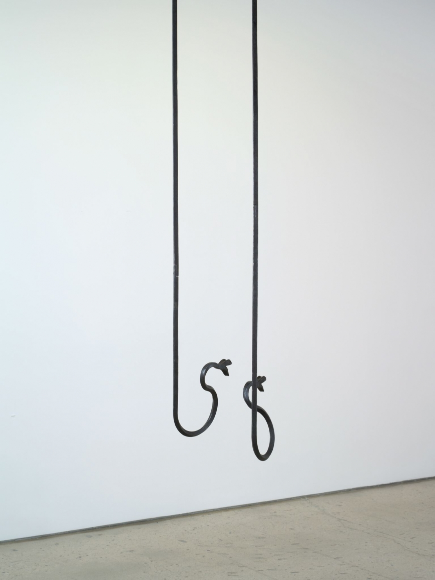 Valentin Carron, You he we you they, 2012