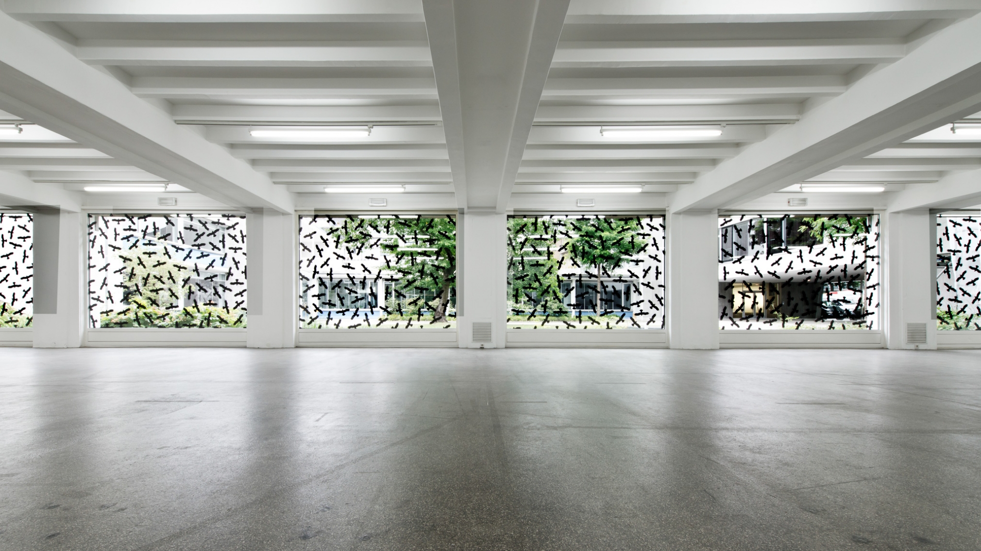 Ceal Floyer, Warning Birds, 2002, Installation view: Kölnischer Kunstverein, Köln, 2013