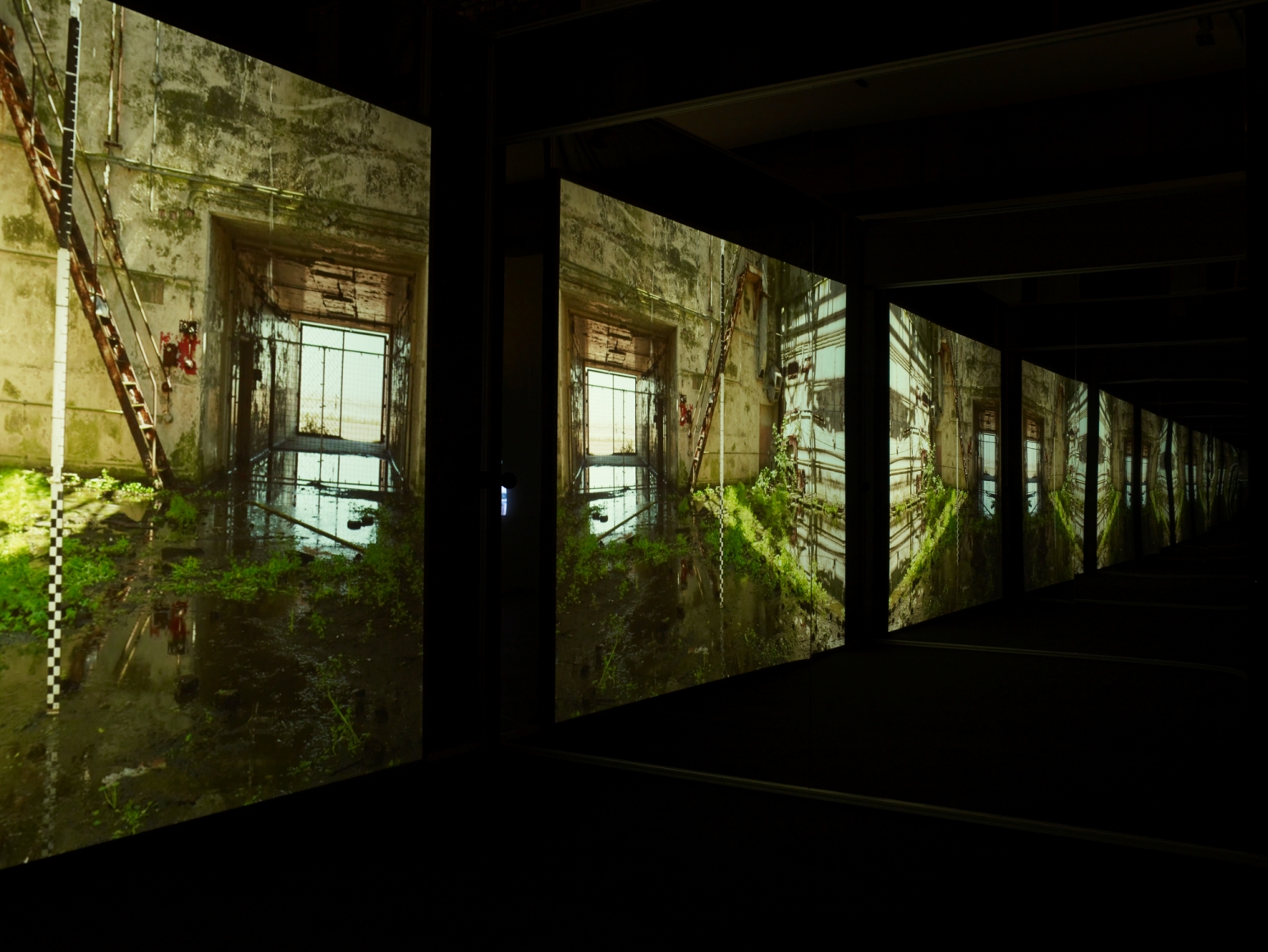 Jane and Louise Wilson, Installation view: Whitworth Art Gallery, Manchester, 2012