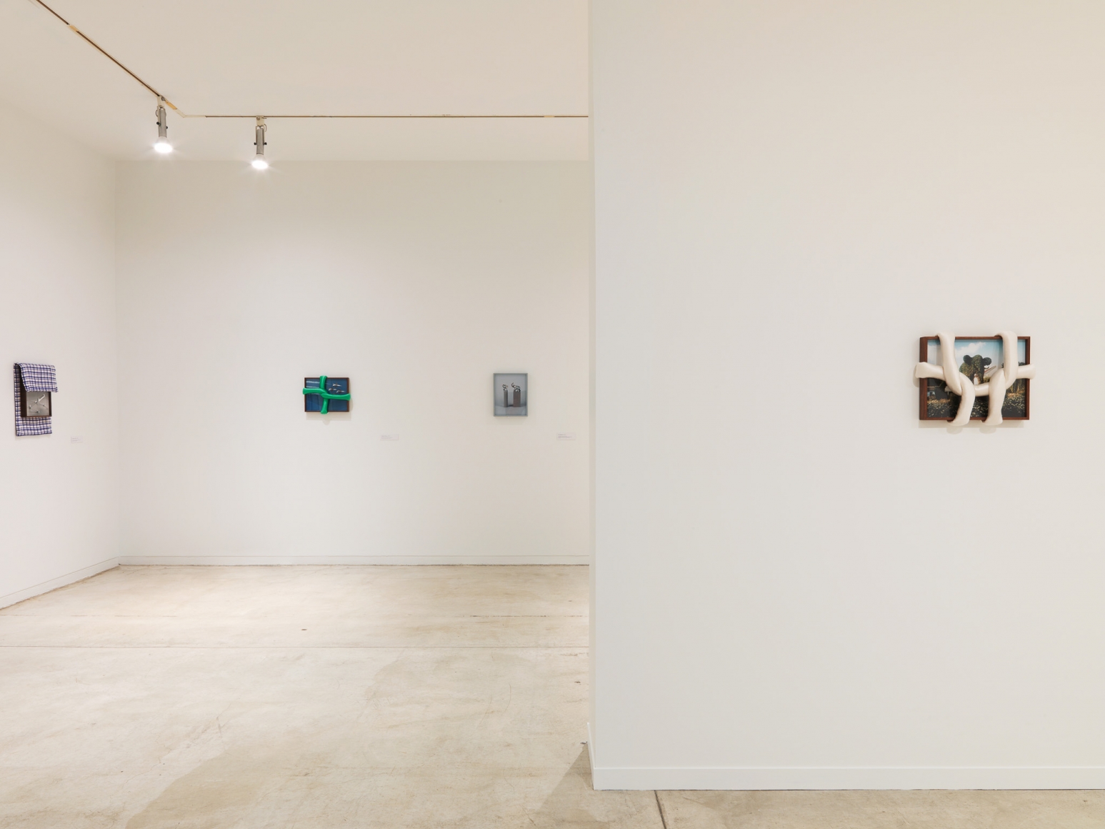Installation view of Elad Lassry, exhibition at the Vancouver Art Gallery, June 24 to October 1, 2017