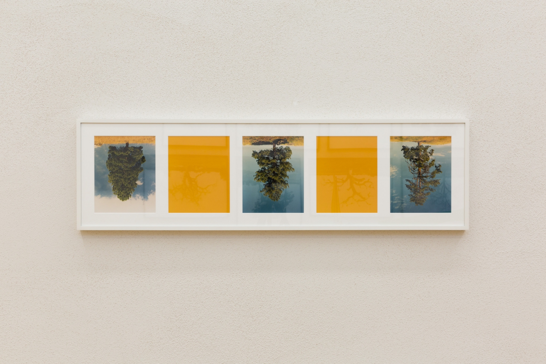 Rodney Graham, Installation view: Sammlung Goetz, München, 2016