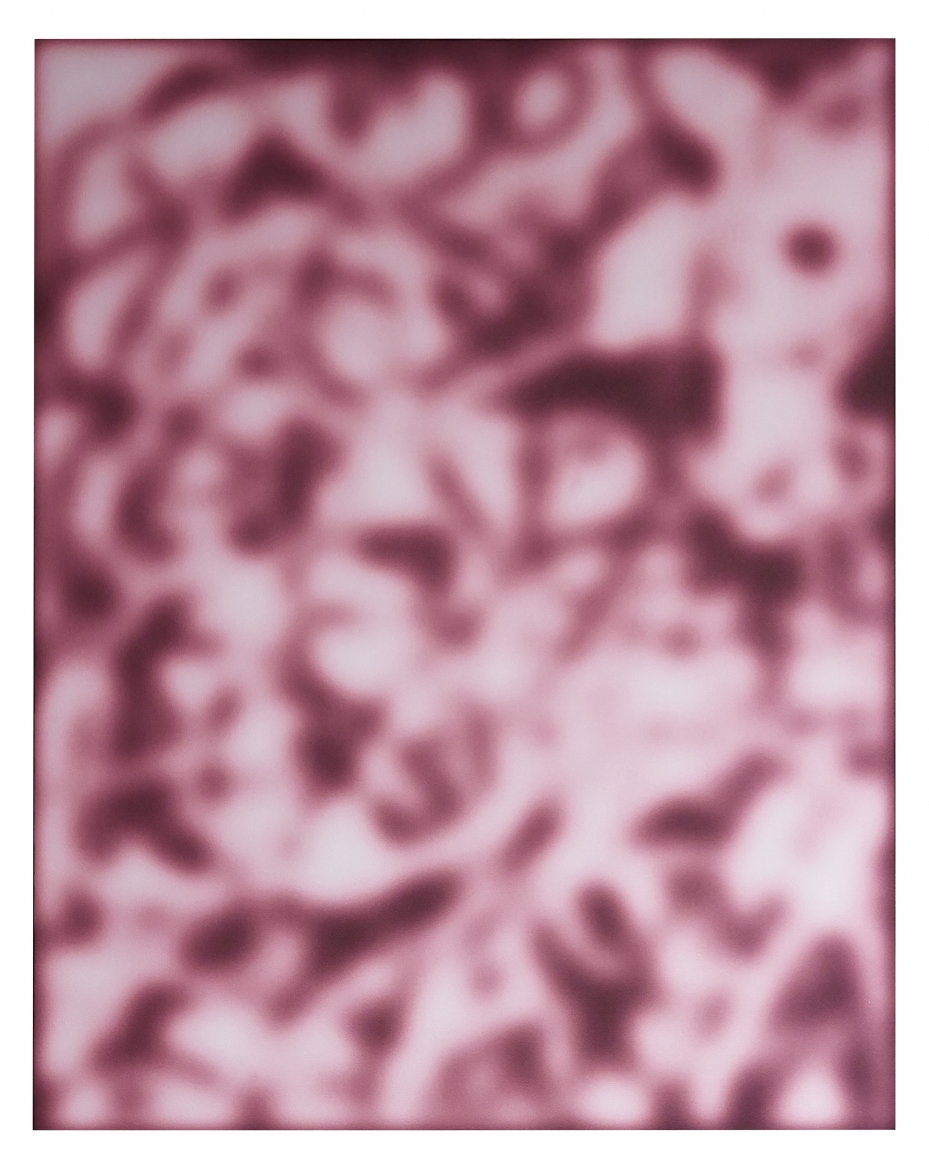 Jeff Elrod Magenta Blur, 2014