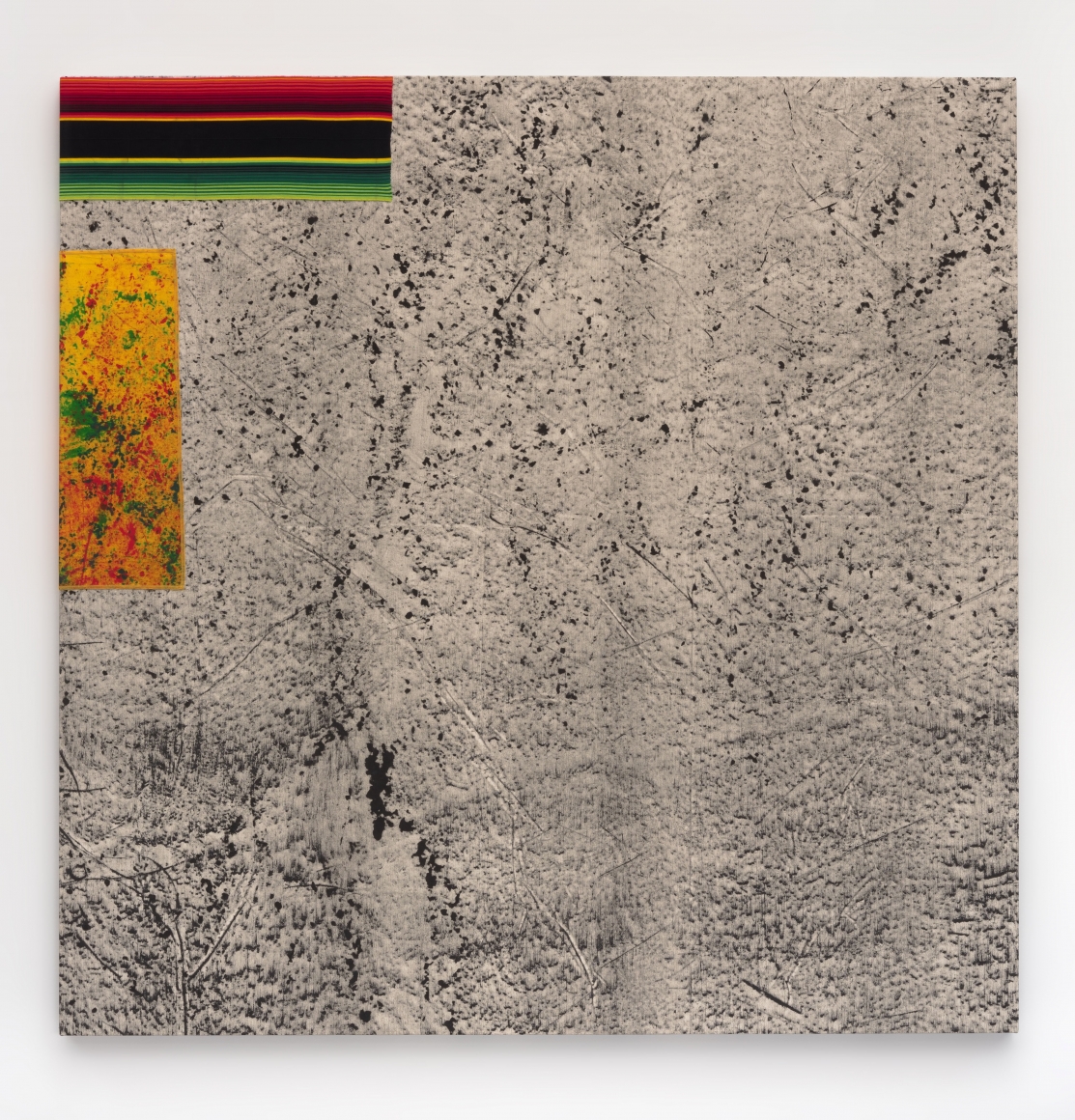 RUBS_0008