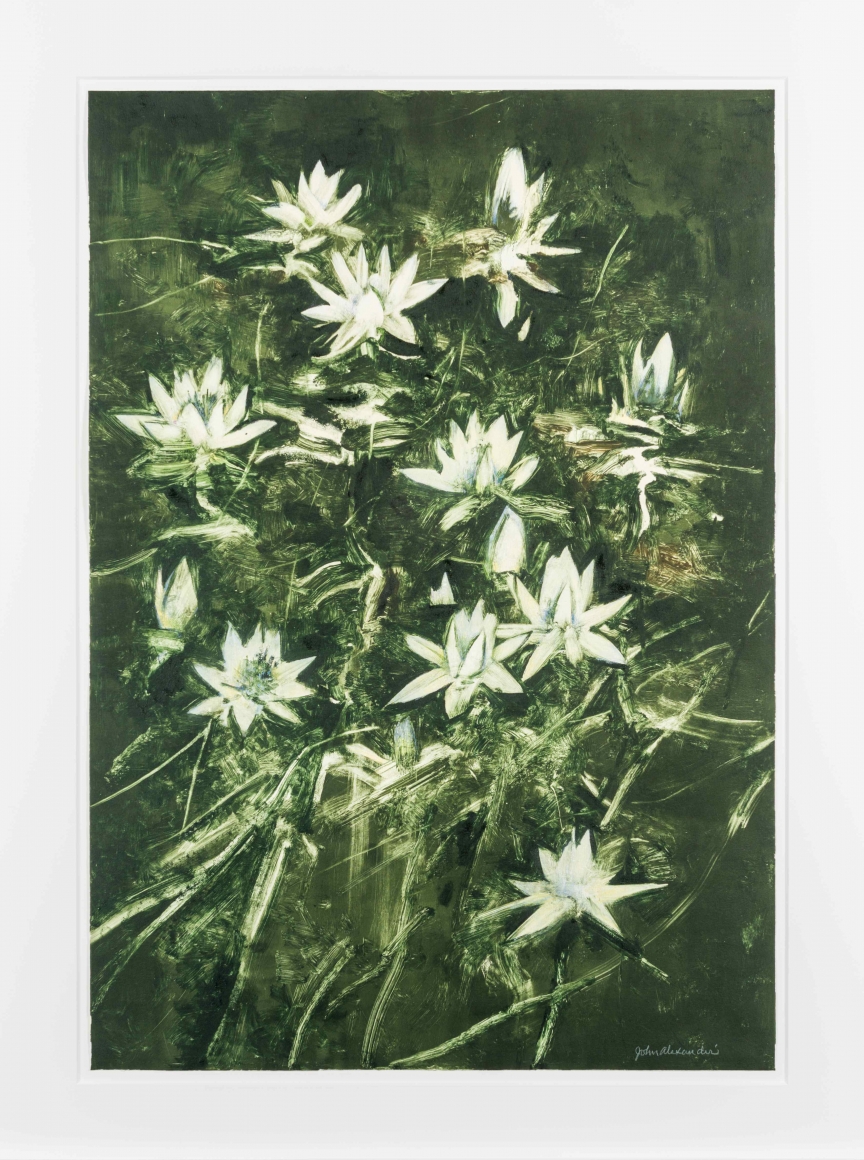John Alexander Lilies with Hint of Blue, 2012 monotype from steel and aluminum plates with hand-coloring paper: 35 1/2 x 24 3/4 inches frame: 43 1/2 x 33 inches signed bottom right front (JoA-166)