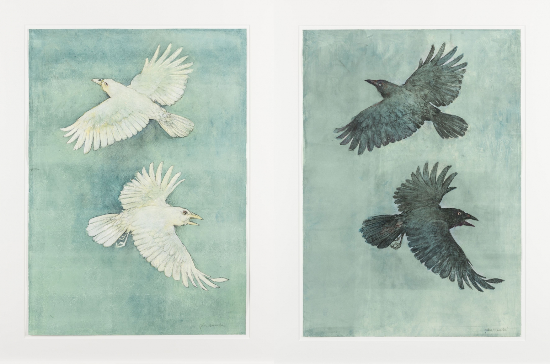John Alexander Albino Crows and Crows in a Fog, 2012 pair of monotypes from steel and aluminum plates with hand-coloring paper: 36 x 25 1/2 inches frame: 43 x 32 inches both signed bottom right front (JoA-168)