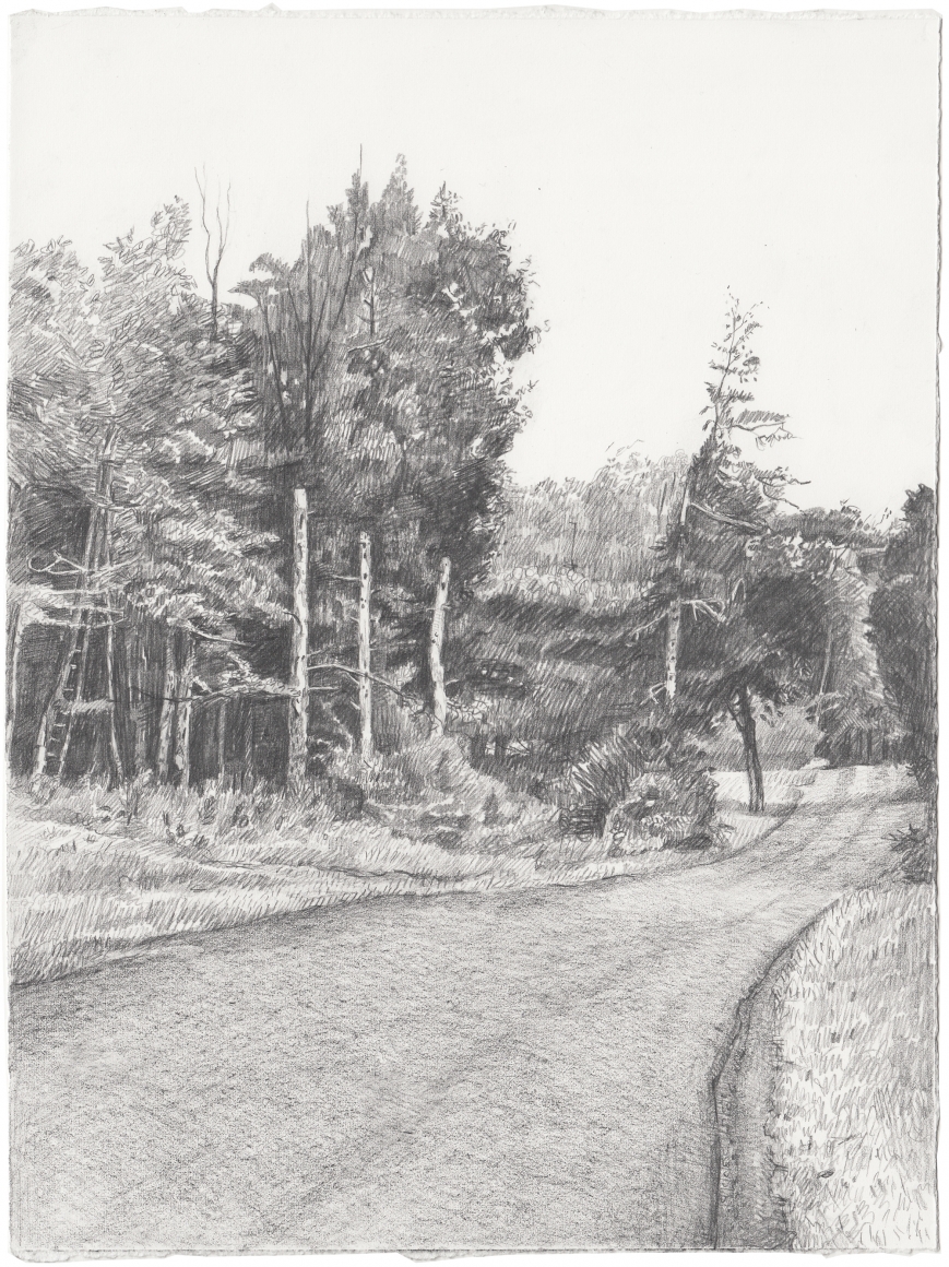 3 Trees