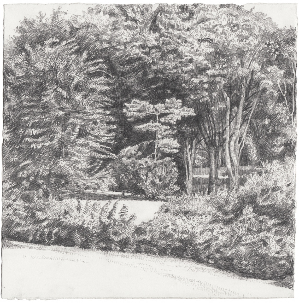 Backyard, 2015