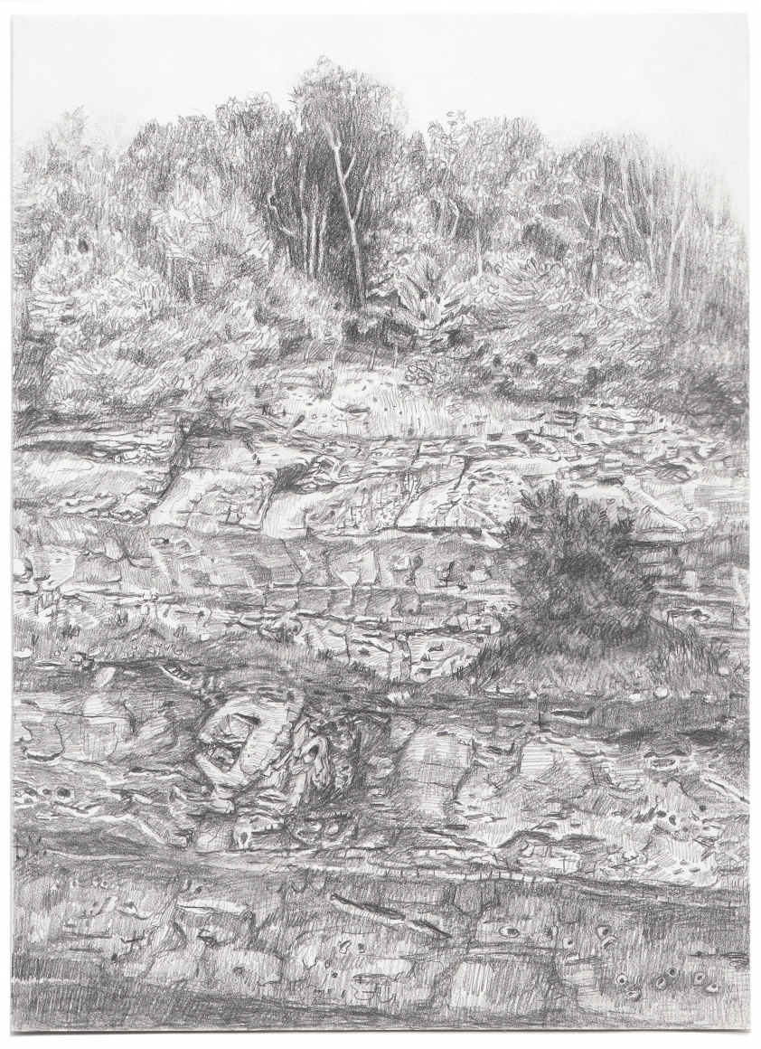 Quarry 1, 2013
