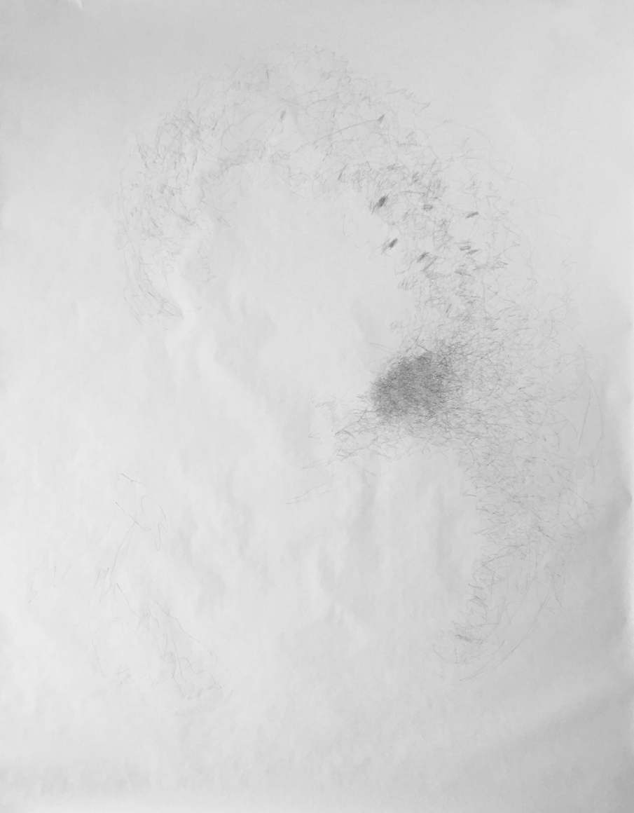 Marcy Chevali Circumference VII Pencil on paper