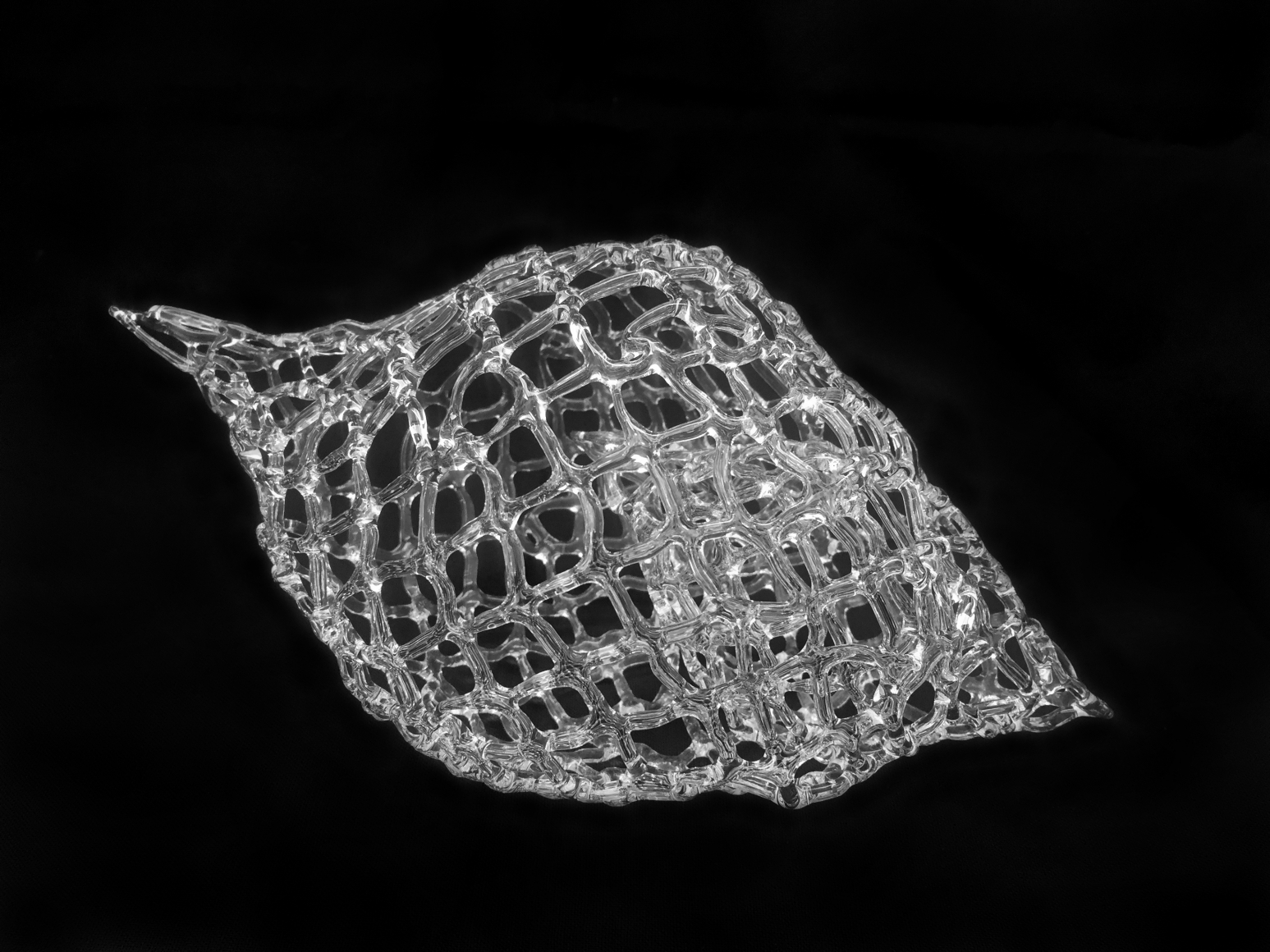 Marcy Chevali Untitled, 2021 Flame worked glass 5h x 9w x 5d in