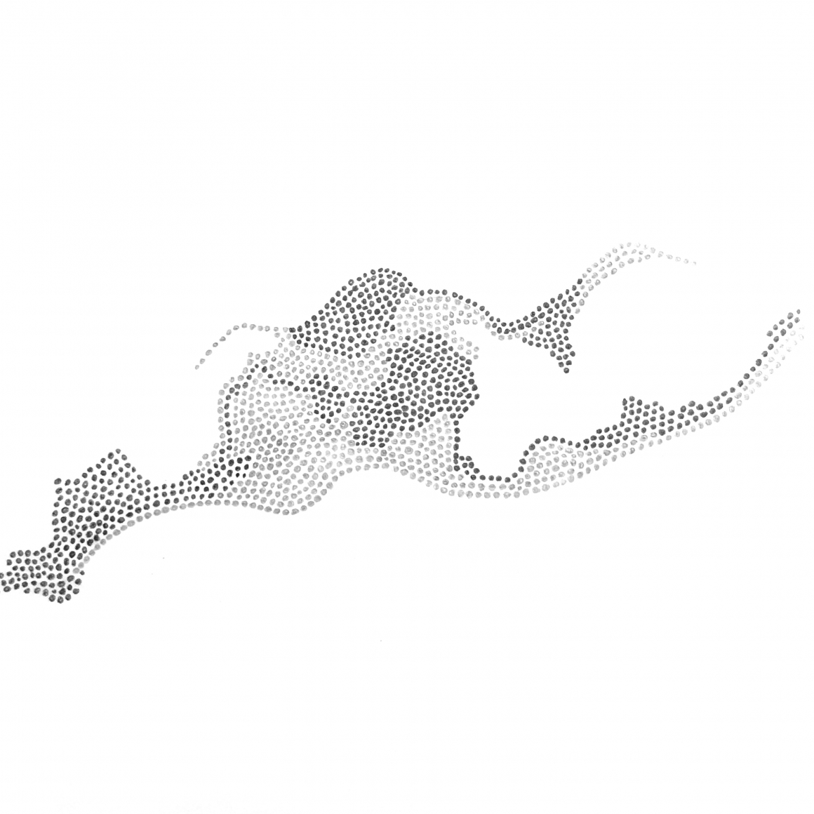 Grace Beck Reach, 2019 Graphite on rag paper 7h x 7w in