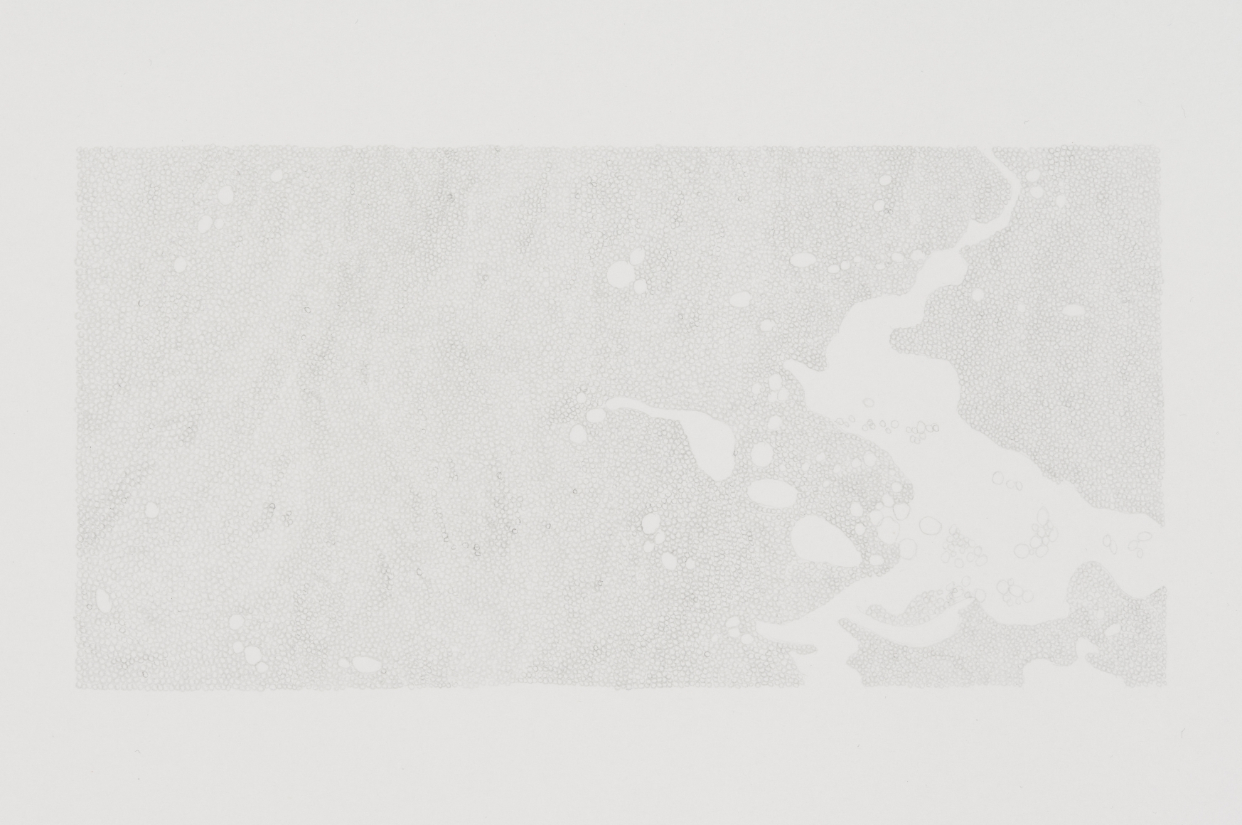 Marcy Chevali Untitled (Water Series 4) Pencil on paper 10.50h x 13w in